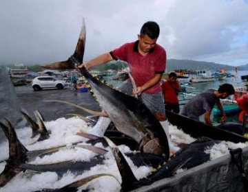 Penangkapan Ikan Terukur untuk Indonesia Makmur Konsep KKP Kelola Sumber Daya Perikanan