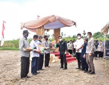 Mentan Syahrul Bangun Kawasan Jagung Seluas 1.200 Ha di Kabupaten Gowa