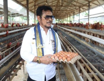 Hadapi Nataru, Kementan Pastikan Produksi Telur Aman