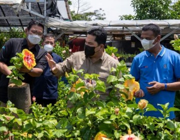 Kementerian BUMN dan BRI Berdayakan Klaster Tanaman Hias Desa Bunga di Lereng Gunung Arjuna