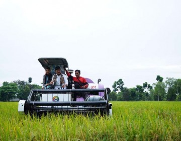 Panen Awal Tahun Bersama Perwakilan FAO, Mentan Pastikan Stok Beras Aman