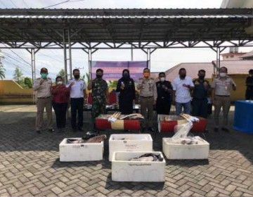 Terpapar Bakteri E. coli, KKP Musnahkan 121,9 Kg Produk Perikanan di Ternate