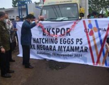 Genjot Ekspor, Kementan-Kemenperin Tingkatkan Kualitas Produk Pangan Bersaing di Pasar Global