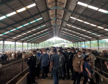 Kunjungi Peternakan Sapi di Deli Serdang, Mentan SYL Pastikan Stock Sapi Siap Potong di Sumut dan Aceh Aman