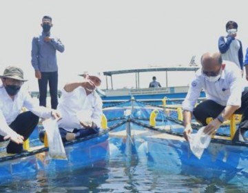 KKP Canangkan Kampung Perikanan Budidaya Lobster di Kabupaten Lombok Timur