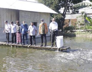 KKP Canangkan Kampung Perikanan Budidaya Nila, Ini Menjawab Masalah Perikanan di Lombok Tengah