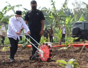 Wapres Ajak Masyarakat Bertani Dengan Konsep Integrated Farming