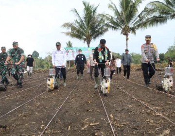 Mentan SYL Ajak Masyarakat Bone Tanam Kedelai, Jagung dan Produksi Minyak Kelapa