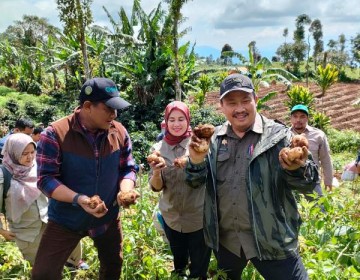 Hasil Food Estate Hortikultura Garut Siap Pasok Kebutuhan Ramadhan dan Lebaran