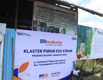 Klaster Usaha Binaan BRI Purun Eco-Straw Mendapat Apresiasi di Sidang Umum PBB