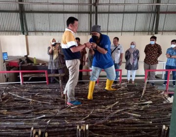 Jaga Stabilitas Harga Gula, Badan Pangan Nasional Dorong Penguatan harga Gula Ditingkat Petani Maupun Konsumen 