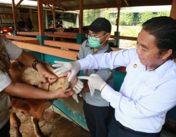 Tinjau Lapak Hewan Kurban, Pj Gubernur Banten: Hewan Kurban yang Dijual Dipastikan Sehat