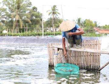 Penyaluran KUR Sektor KP Sampai Mei 2022 Capai Rp3,9 T