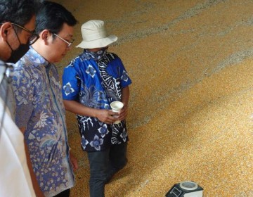 Panen Jagung Berlimpah, NFA Dorong Kelancaran Distribusi Pangan sinergi BUMN dan Kemenhub