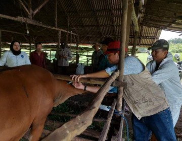 Terima Vaksin PMK, Gubernur Kalsel Apresiasi Keseriusan Kementan