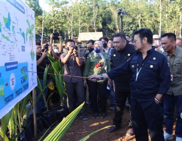 Kunjungi Sukoharjo, Mentan SYL Cek Persiapan Pengembangan Kelapa Genjah 1 Juta Batang 