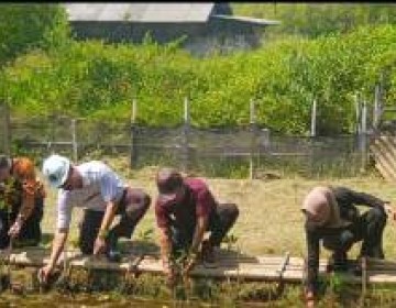 Peduli Kelestarian Alam, UMT Tanam Ribuan Bibit Mangrove di Kabupaten Tangerang