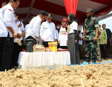 Mentan SYL Panen Sorgum di Kabupaten Lamongan