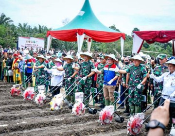 Dukung Ketahanan Pangan Nasional, Sinergi PHR - TNI AD Olah 100 Ha Tanaman Pangan