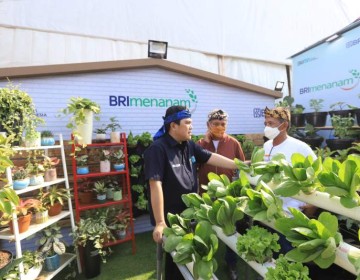  “BRI Menanam” Targetkan Tanam 1,75 Juta Bibit Pohon Produktif Hingga 2023 Untuk Pengurangan Emisi Karbon