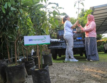 Dukung Pengurangan Emisi, BRI Menanam Proyeksikan Penyerapan Karbon Hingga 108 Ribu Ton CO2 