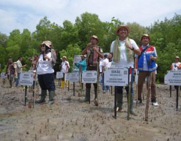 Dukung Upaya Mitigasi Perubahan Iklim, Pertamina Rehabilitasi Mangrove di Nusa Tenggara Timur