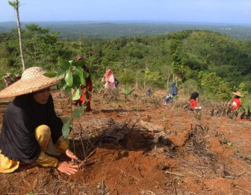 Telkom Dukung Pemulihan 82,1 Ha Lahan Kritis melalui Reboisasi 33.800 Bibit Pohon