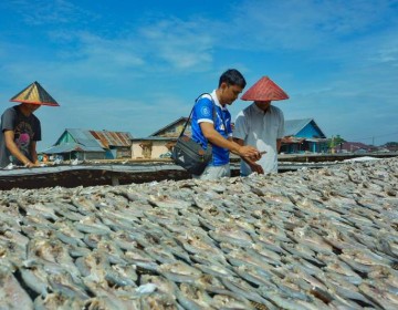 Terus Meningkat, Portofolio Pembiayaan Berkelanjutan BRI Capai Rp787,9 Triliun 2024