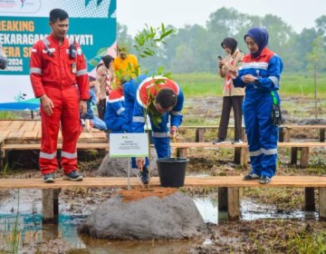 Pertama di Indonesia, Pemprov Sumsel dan Kilang Pertamina Plaju Bangun Taman Rawa di Kawasan Jakabaring, Tanam 55 Spesies Pohon Langka