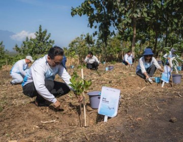 Komitmen Terhadap Keberlanjutan Lingkungan, Pelita Air Bersama Pertamina Tanam 10 Ribu Pohon di Jawa Timur