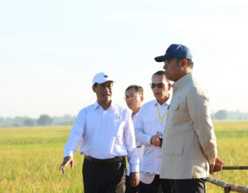 Duet Kompak Mentan Amran dan Wamentan Sudaryono, Ujung Tombak Capai Swasembada Pangan