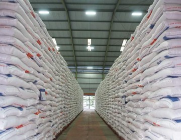 Stok Beras Tertinggi Sepanjang Sejarah, Mentan Amran Mantapkan Langkah Swasembada