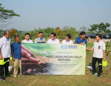 WSP Perkuat Komitmen ESG Melalui Aksi Penanaman Pohon di Hari Lingkungan Hidup Sedunia 
