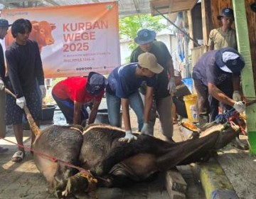 WEGE Bantu Korban Kebakaran di Kapuk Muara dan Distribusikan Kurban Iduladha