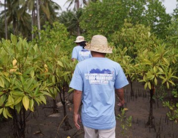 Telkom Dukung Restorasi Pesisir Lombok Utara Lewat Penanaman 10.000 Bibit Mangrove