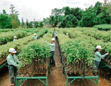 Komitmen Jaga Lingkungan, MIND ID Targetkan Penurunan Emisi 21,4% pada 2030
