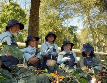 Pertamina Bawa Kopi Petani Kamojang Tembus Pasar Asia dan Eropa Gunakan Teknologi 'Geothermal Dry House