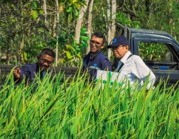 Kolaborasi WIKA dan UGM Berhasil Tingkatkan Hasil Panen Raya Petani di Gunung Kidul
