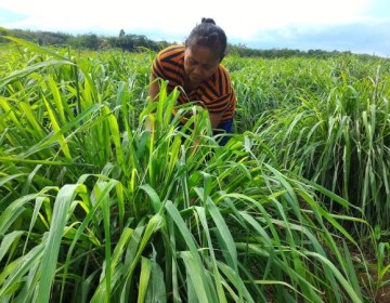 Pertamina Bina UMKM DDistillers, Ubah Lahan Kritis Jadi Lapangan Kerja untuk Lebih dari 2.000 Warga Desa