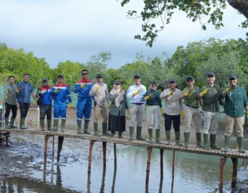 Tanam 800 Pohon Mangrove, Pertamina Konsisten Jaga Lingkungan Berkelanjutan