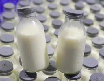 Dari Janji Kampanye Jadi Aksi Nyata: Susu untuk Siswa