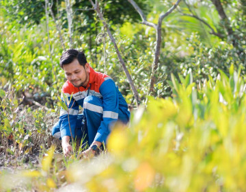 Peringati Hari Hutan Sedunia, Pertamina Perkuat Program Hutan Lestari untuk NZE 2060