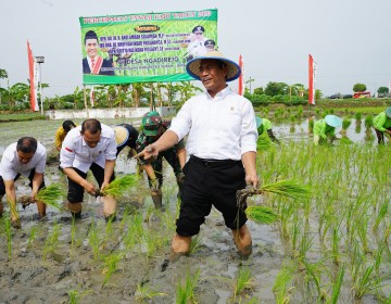 HIMA IPB Dukung Kementan Optimalkan Lahan Rawa Jadi Lahan Produktif