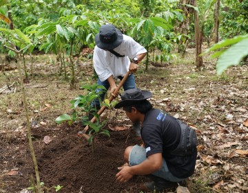 Menanam Tanaman Produktif di Lahan Kritis, BRI Grow & Green Berdayakan Dua Kelompok Tani di Bali