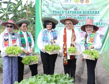 Dorong Ketahanan Pangan Keluarga, Bidang V OASE KIM Panen Sayur Organik dan Bimtek Urban Farming 