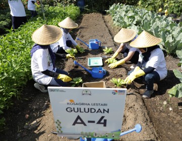 Kembangkan Urban Farming di Lahan Sempit, BRI Peduli Inspirasi Bertani di Kota (BRInita)