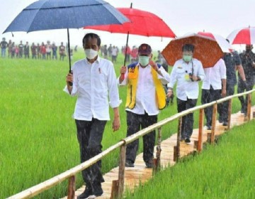 Hujan Turun Sangat Deras Tak Halangi Presiden Jokowi Tinjau Lumbung Pangan NTT 