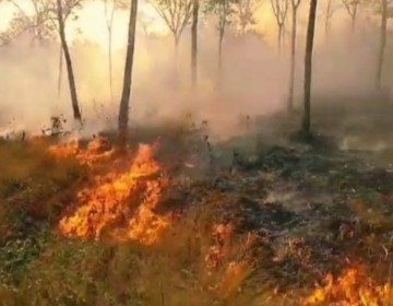 Potensi Karhutla Masih Tinggi Hingga Agustus, BNPB Imbau Semua Pihak Waspada!