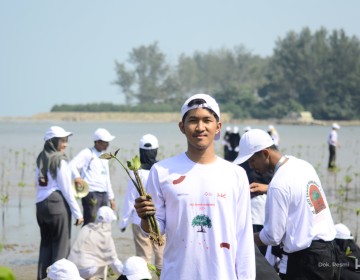 Hutama Karya Tanam Ribuan Bibit Mangrove, Rehabilitasi Pesisir Pantai Jenggalu Bengkulu