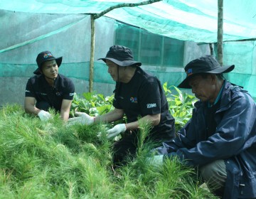 Jaga Kelestarian Danau Toba, BRI Peduli “Grow & Green” Tanam 2.500 Bibit Pohon di Samosir